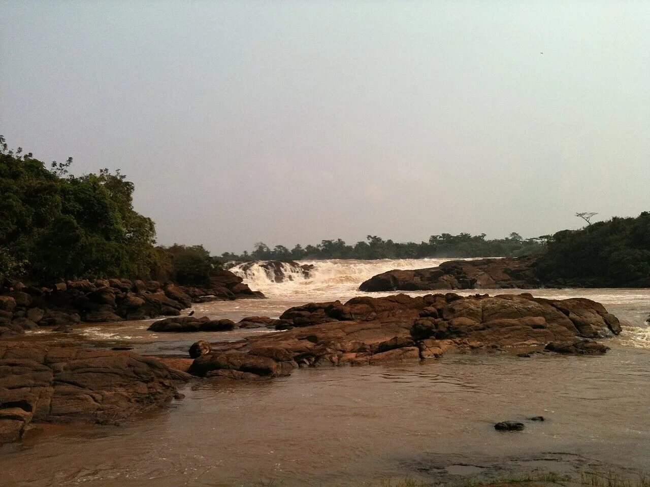 Der Mayi-Munene-Fall