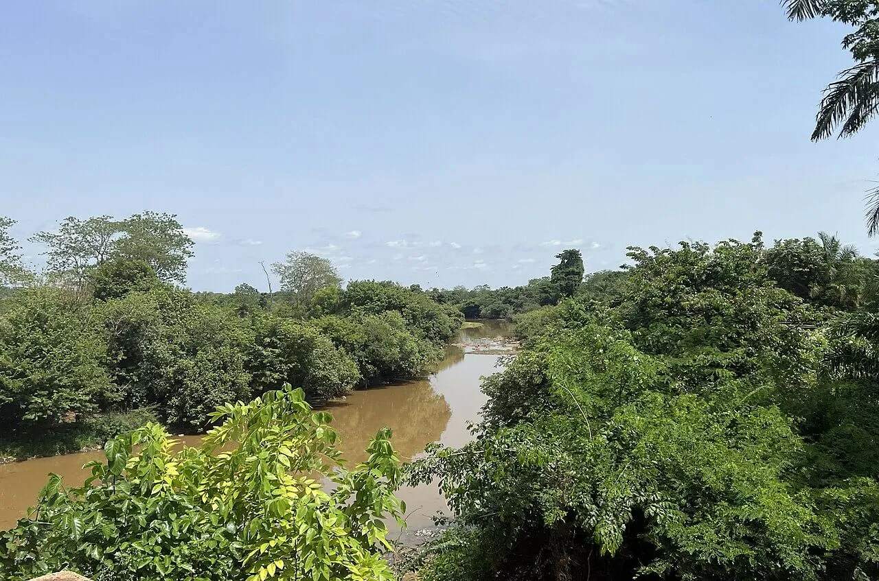 Der Niger kurz vor Faranah (Mai 2024)