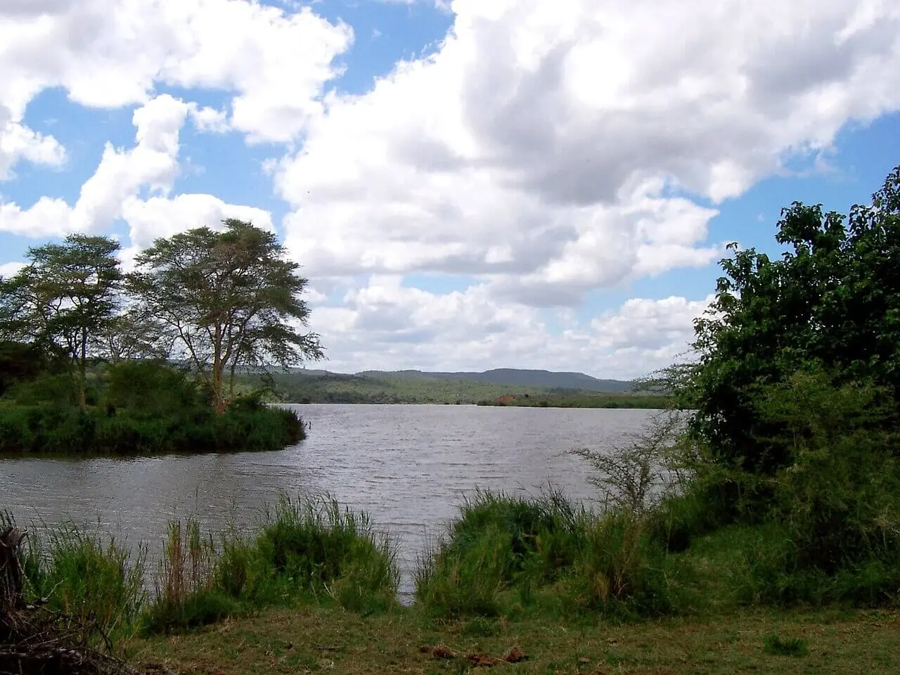 Fieberbäume (Acacia sp.), große Fieberbeeren (Croton megalobotrys) und Phragmites-Schilf am Crook's Corner Tripoint im nördlichsten Kruger National Park